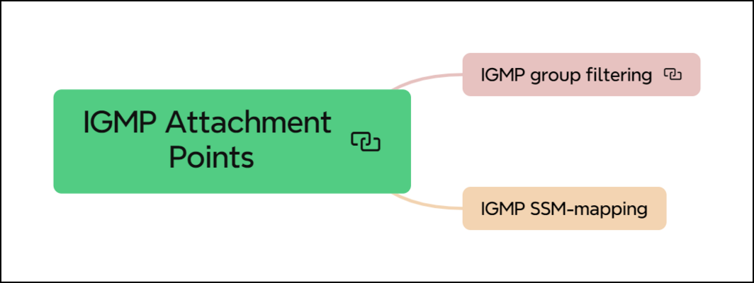 igmp attach point