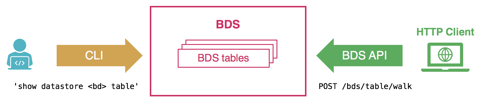 BDS UI