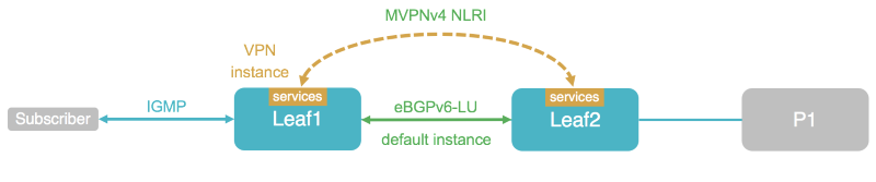 Multicast VPN Scenario