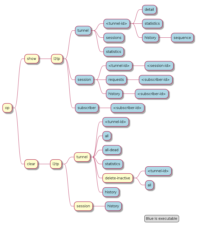 ngaccess cli2 l2tpd op