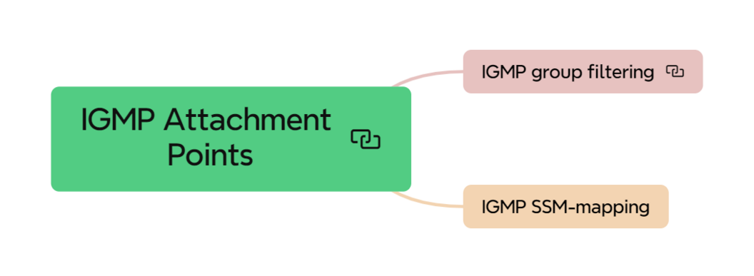 igmp attach point