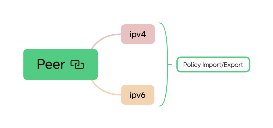 ldp attach point peer