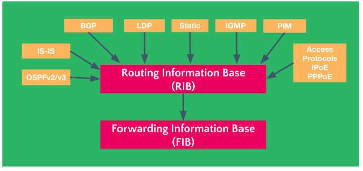 rib overview