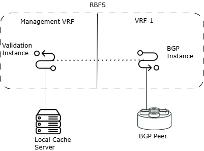 rpki instances