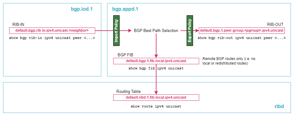 bgp policy processing