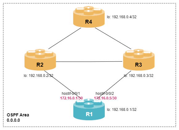 ospf single area lab