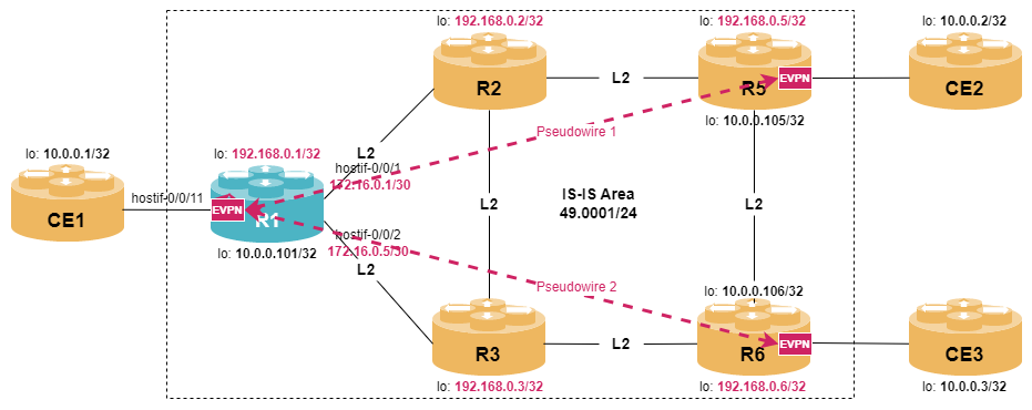 mpls evpn lab