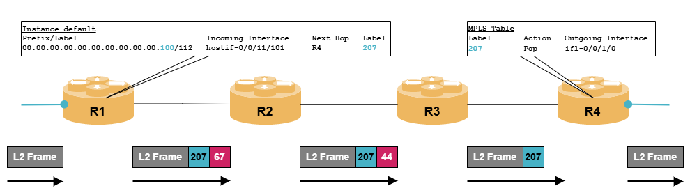 mpls ldp pw dp